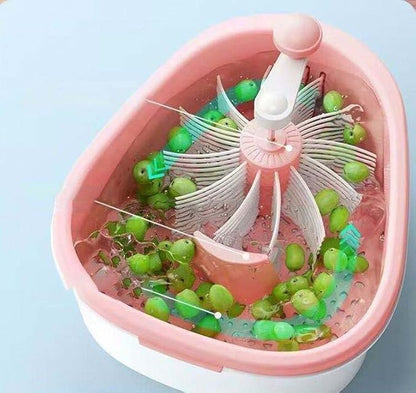 Fruit Washer
