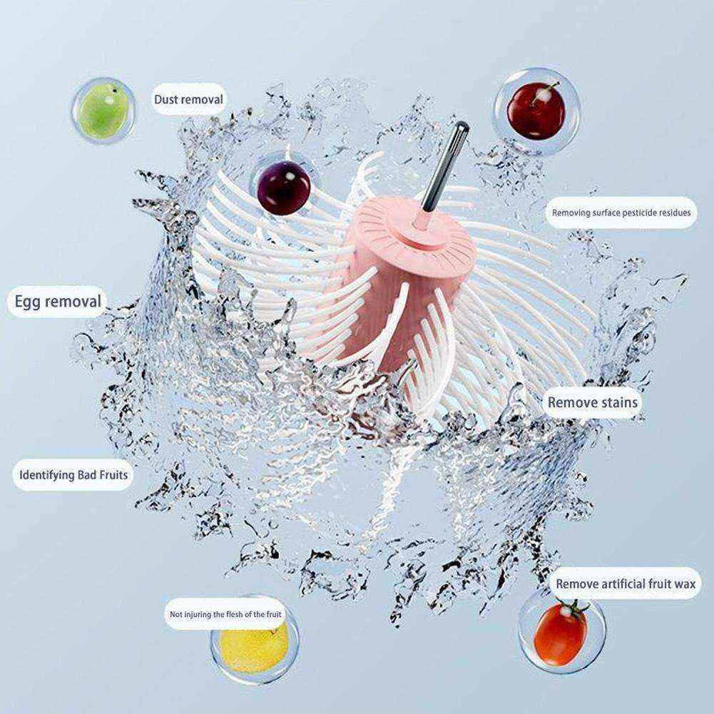 Fruit Washer