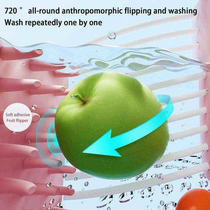Fruit Washer