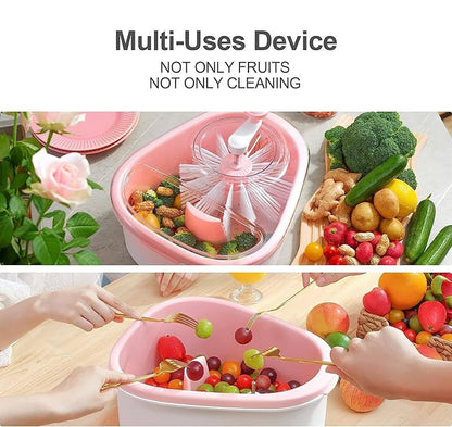 Fruit Washer